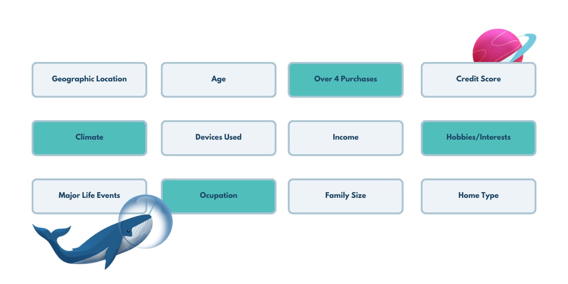 Audience Features